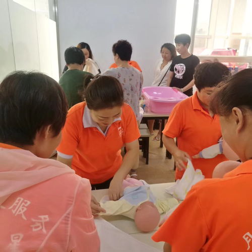 天津專業培訓課程指南 營養師、月嫂與催乳師培訓選擇與價格解析